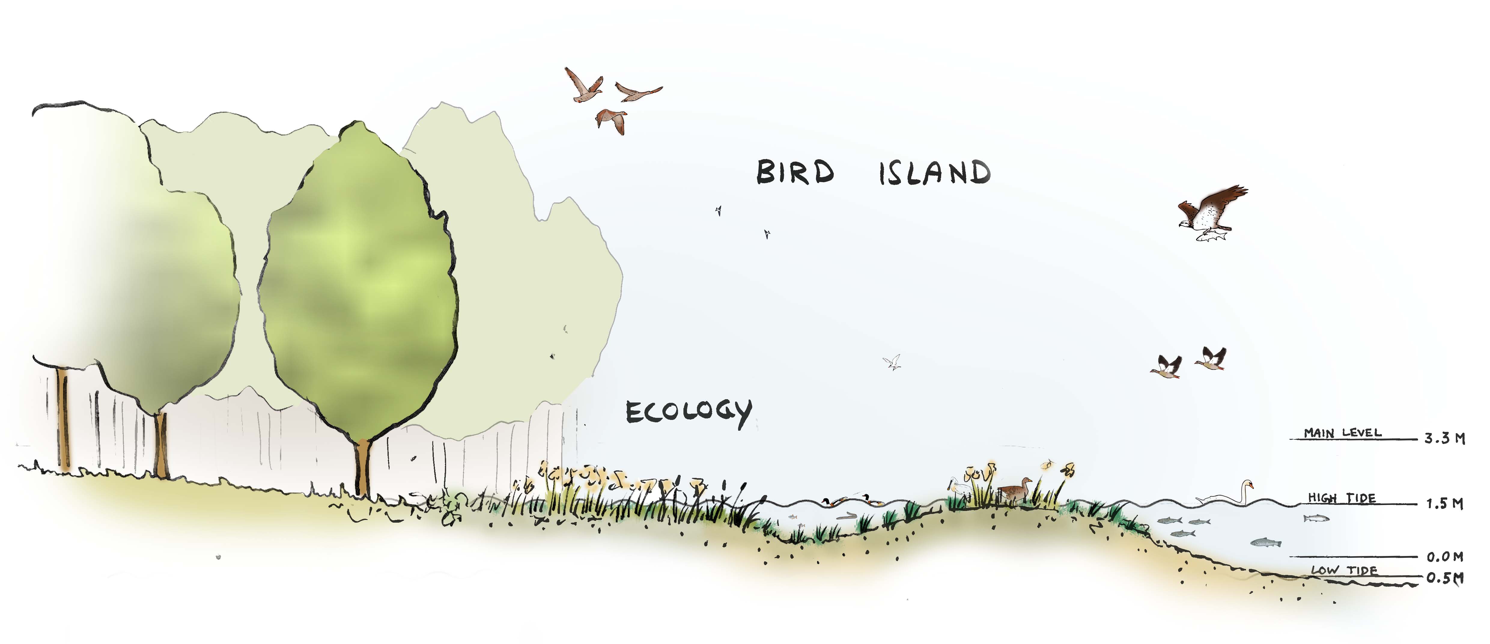Section_bird_island